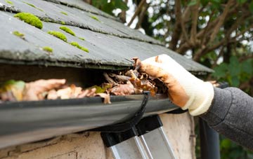gutter cleaning Silvertonhill, South Lanarkshire