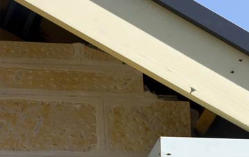 soffit repair Silvertonhill